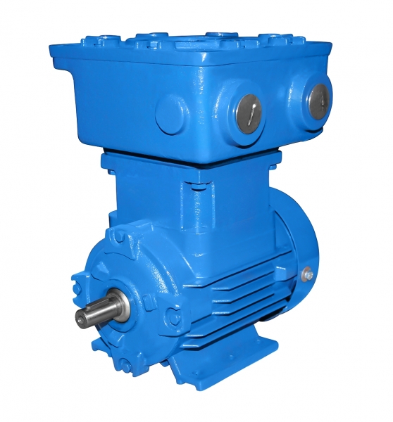 ATEX-Three Phase Motor 80a 0.55 kW 4pol-B3